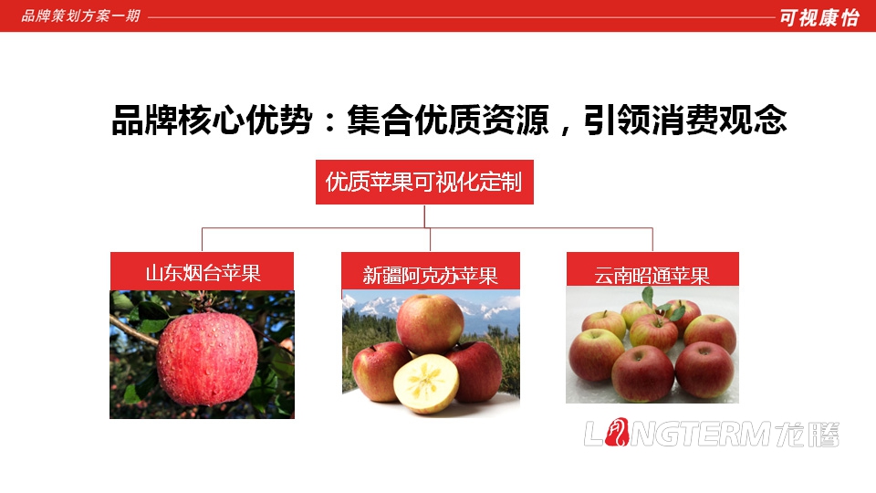 好蘋100品牌全案策劃|四川成都水果蘋果品牌全案營銷策劃形象設計推廣公司